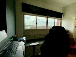 Blk 782 Pasir Ris Street 71 (Pasir Ris), HDB Executive #504255851